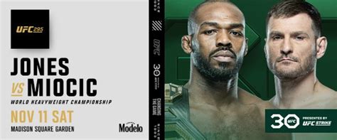 UFC 295 Official, Jon Jones Vs. Stipe Miocic Set