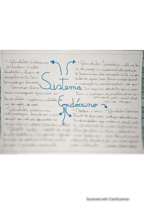 SOLUTION: Sistema end crino mapa mental - Studypool
