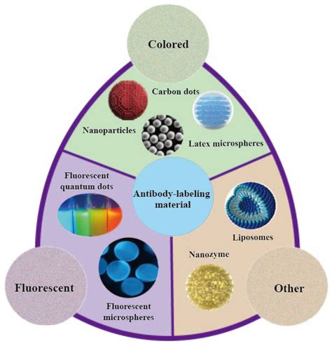 The Developments on Lateral Flow Immunochromatographic Assay for Food ...