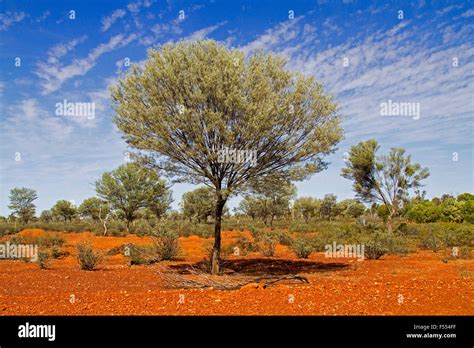 Image result for Knowledge Test PPL Example
