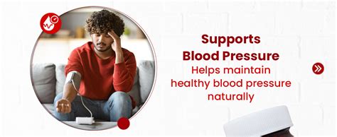 Buy Zeroharm Hypertens | Plant-Based Formula | Supports Healthy Blood ...