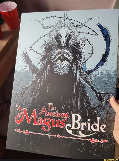 Image result for The Ancient Magus Bride Memes