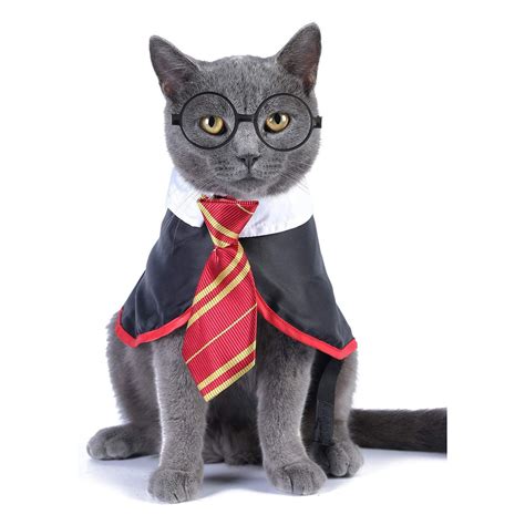 Funny Cats In Costumes