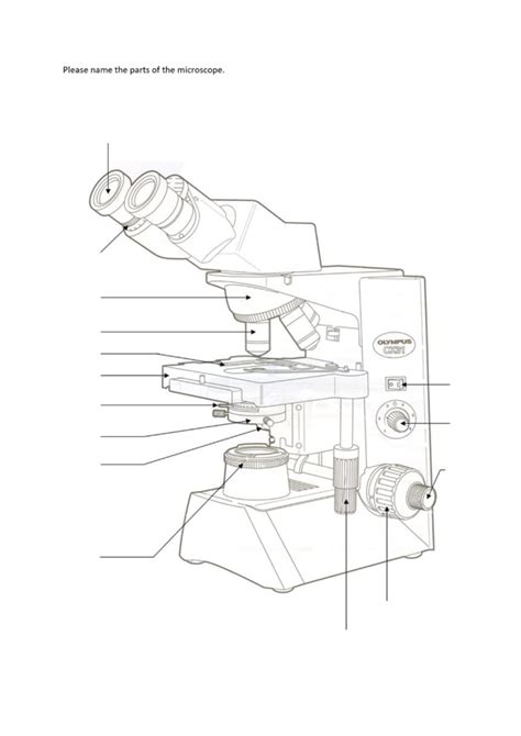 Microscope Optics 的图像结果