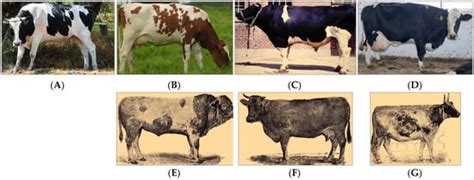 Genetic Load of Mutations Causing Inherited Diseases and Its ...