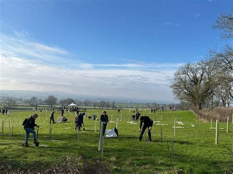 Tree-Planting Day 的图像结果