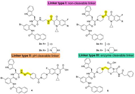 Conjugation of Antibiotics to Peptidomimetics Enhances Antimicrobial ...