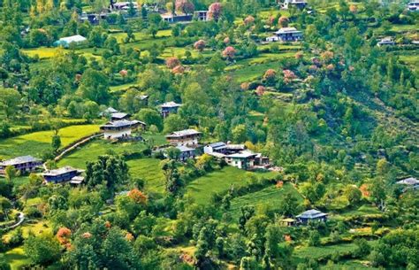 Kangra Valley, dharamshala, India - Top Attractions, Things to Do ...