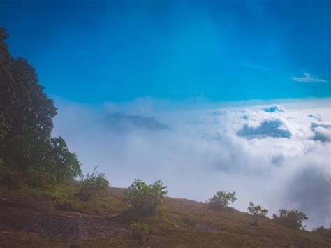 Shafa Wood House Contact 6369440814