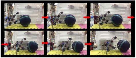 Development of a Dung Beetle Robot and Investigation of Its Dung ...