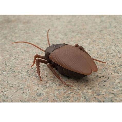 Remote Controlled Cockroach 的图像结果