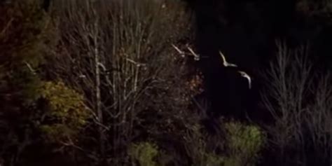 Image result for Notebook Ending Explained