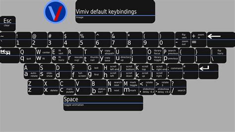 Image result for Macro to Set Two Keybinds