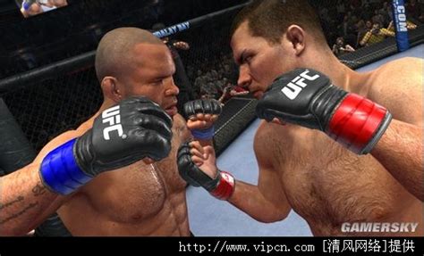 PSP《UFC终极格斗冠军赛2010》欧版下载 | PSP《UFC终极格斗冠军赛2010》欧版 下载 - 清风电脑游戏网