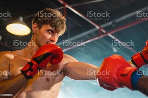 Pro Boxing 的图像结果