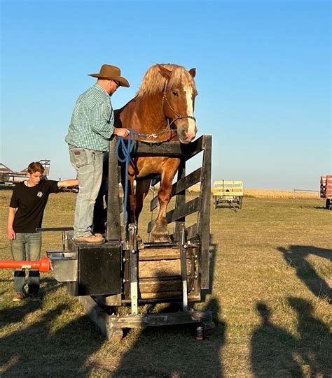 Horsepower Ice Cream Fundraiser, Alberta Carriage Supply, Chestermere ...