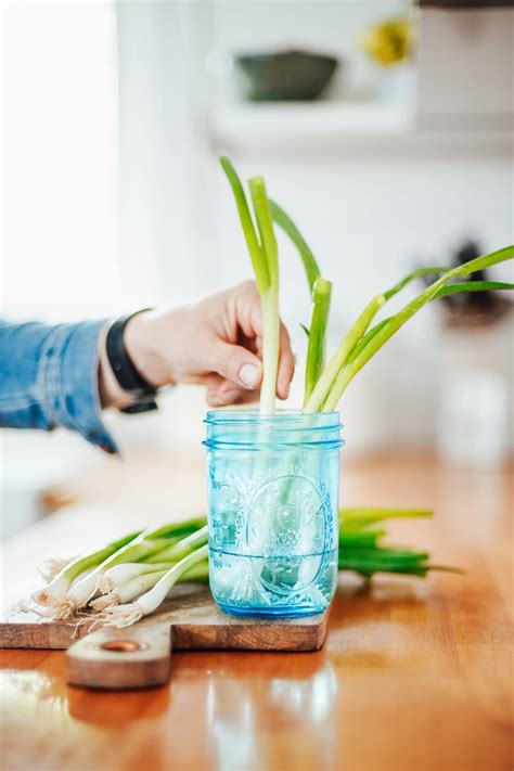 How to Store Green Onions and Keep Them Fresh for Weeks - Live Simply ...