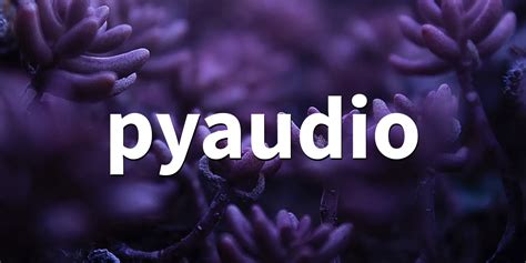 Image result for PyAudio Tutorial