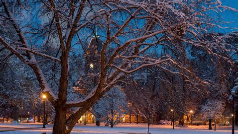 [100+] Ohio State University Wallpapers | Wallpapers.com - wallpaper of university