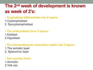 Image result for 2nd Week of Development