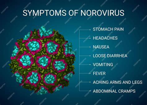 Ilustración de los síntomas del norovirus infografía médica | Vector Premium