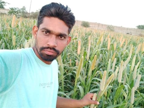 Farmers' income from natural farming based on indigenous cows has doubled