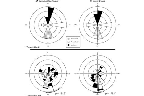Circular Histogram 的图像结果