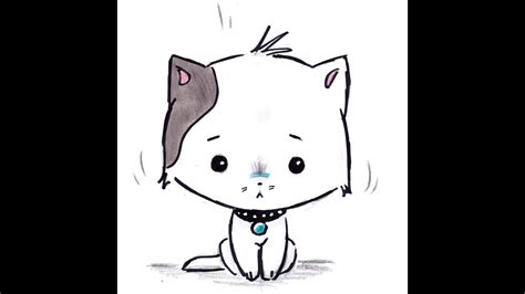 HowToBasic Cat 的图像结果