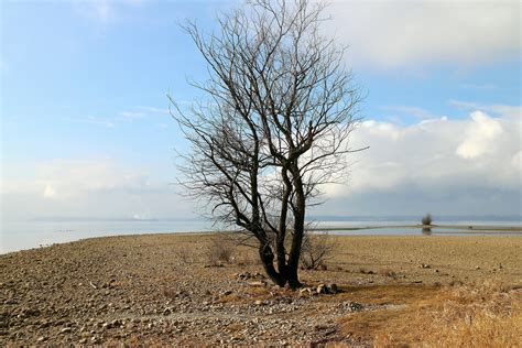 AMBIL SEKARANG
