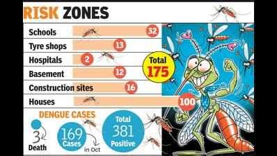 Fadnavis’ bungalow among 175 dengue larvae breeding spots | Nagpur News ...