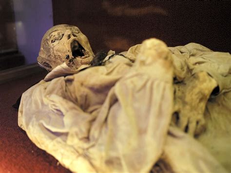 Spicy, sweet: Ancient Egyptian mummies found to have mysterious scent
