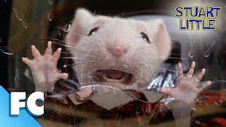 Image result for Stuart Little Washing Machine