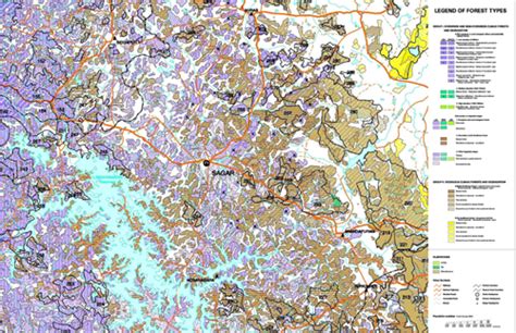 IRRATIONAL ALLOTMENT OF COMMON LANDS - KAN SACRED FORESTS IN SAGAR ...