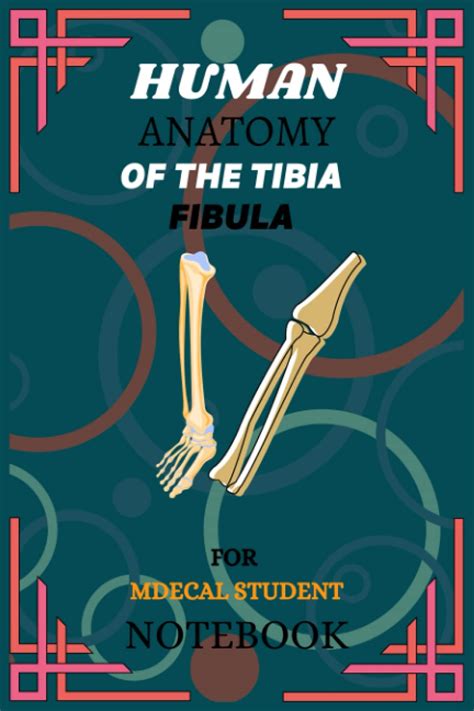 Buy HUMAN ANATOMY OF THE TIBIA FIBULA FOR MEDICAL STUDENT: Blank lined ...