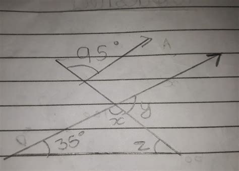 FIND THE VALUEOF X AND Y AND Z - Brainly.in