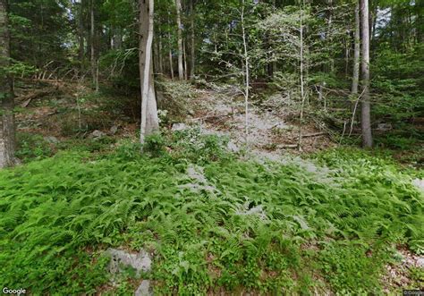 40D Little Punkup Rd, Oxford, CT 06478 | Homes.com