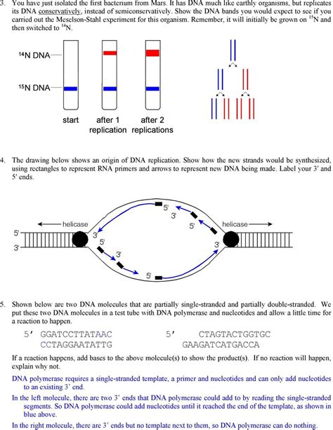 Image result for DNA Replication Simplified