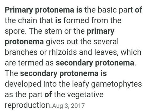 define the difference between primary protonema and secondary protonema ...