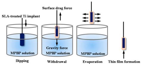 Development of a Surface-Functionalized Titanium Implant for Promoting ...