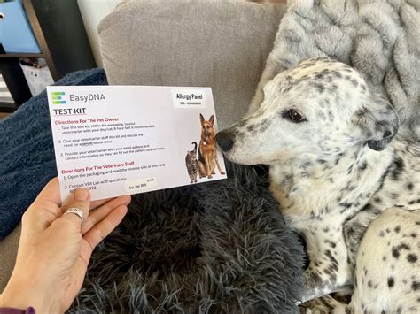 EasyDNA Dog Allergy Test Review 2026: A Comprehensive Allergen Test for ...