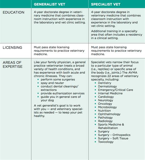 Vet Specialist vs. General Vet — What's the Difference? | Saying ...