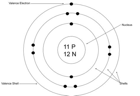 Bohr-Rutherford 的图像结果