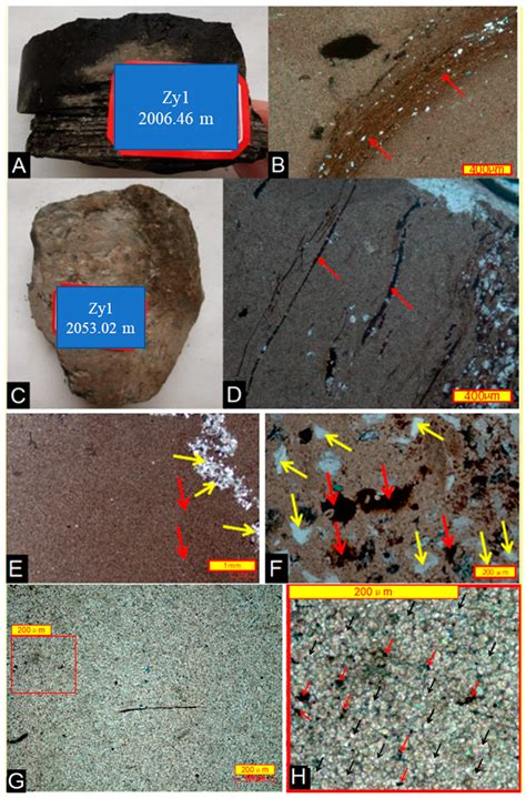 Study on Dolomite Thin Layers and Nodules in the Qingshankou Formation ...