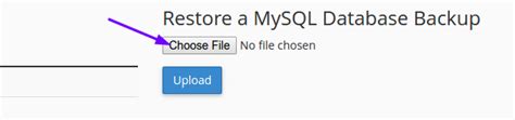 Image result for MySQL Database Backup