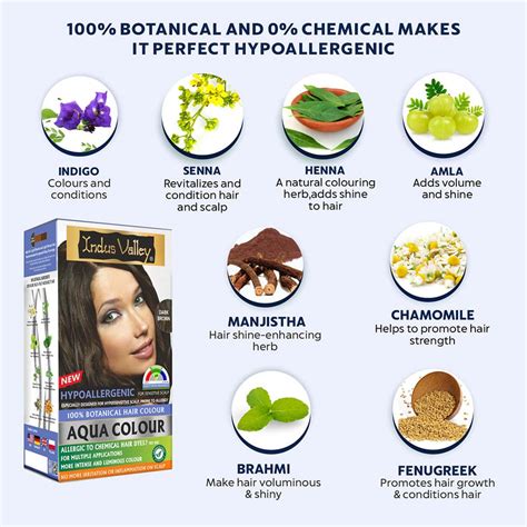 Indus Valley Aqua Colour | Best Hair Color for Men and Women