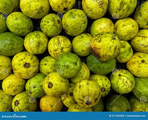 Fresh Guava Fruit on Sale in a Fresh Fruit Market. Green and Yellow ...