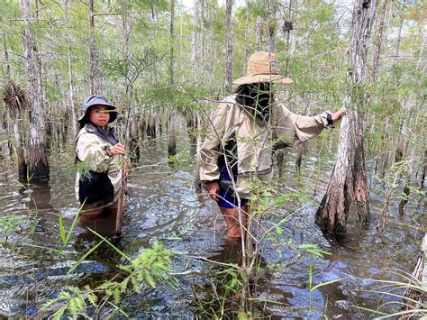 Garl's Coastal Kayaking Everglades (Key Largo) - All You Need to Know ...