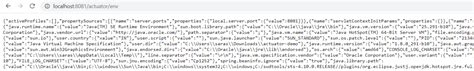 Image result for Spring Actuator Java