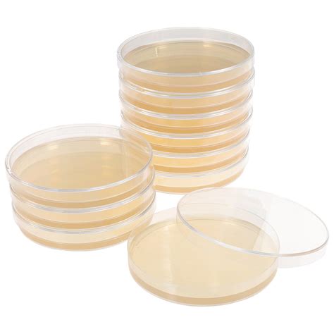 Buy Totority Potato Dextrose Agar Petri Dishes - Prepoured Potato ...