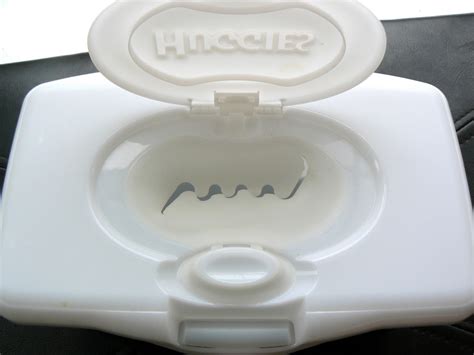 Having Fun at Home: Wipes Container Scavenger Hunt